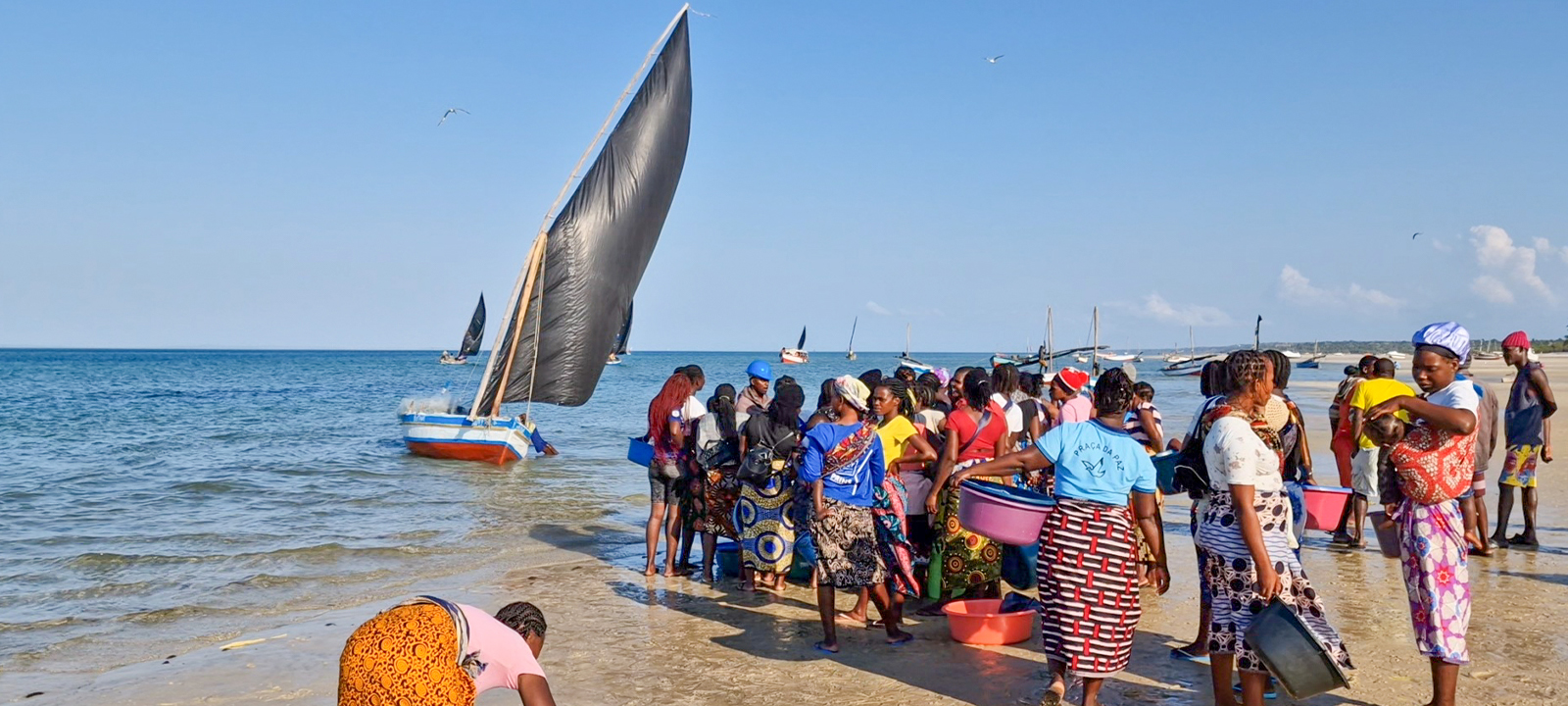Mozambique | Fishermen call for review of the fishing ban in Inhambane